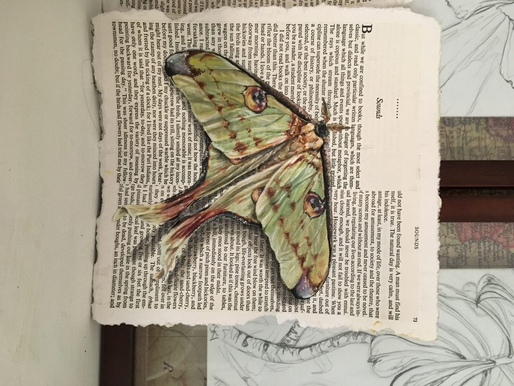 Piece by: Bethany Krowsoski